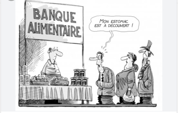 La commissaire à la sécurité alimentaire loue les efforts de la Mauritanie dans le domaine de la sécurité alimentaire