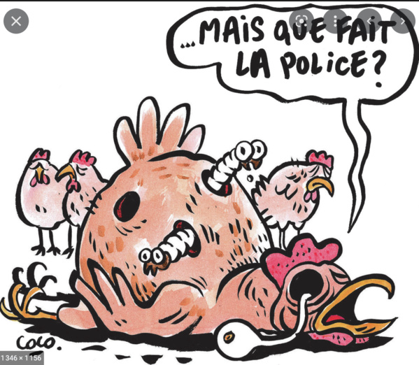 La protection des consommateurs confisque 10.2 tonnes de poulet congelé La protection des consommateurs confisque 10.2 tonnes de poulet congelé