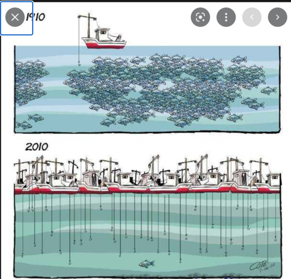 Tenue de la session ordinaire du conseil consultatif national pour l’aménagement et le développement des pêcheries Tenue de la session ordinaire du conseil consultatif national pour l’aménagement et le développement des pêcheries