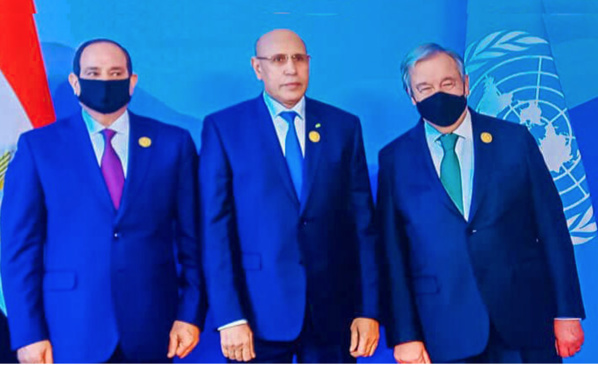 La Mauritanie à l’avant-garde de la protection de la vie sur terre La Mauritanie à l’avant-garde de la protection de la vie sur terre