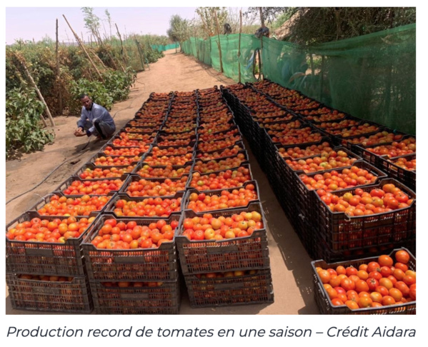 Partenariat Ferme de Guerrou-PRODEFI, une ambitieuse expérience pour la Mauritanie face à la dépendance alimentaire et fourragère