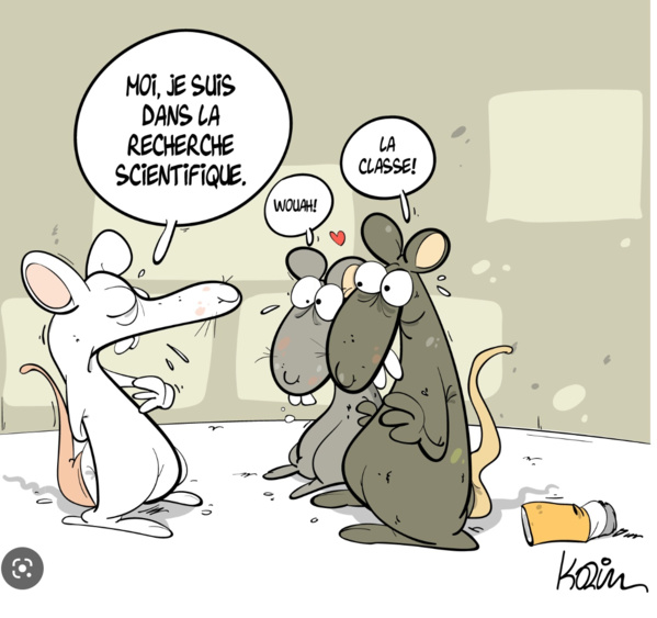 Remise de prix de recherche scientifique et financement de projets de recherche Remise de prix de recherche scientifique et financement de projets de recherche