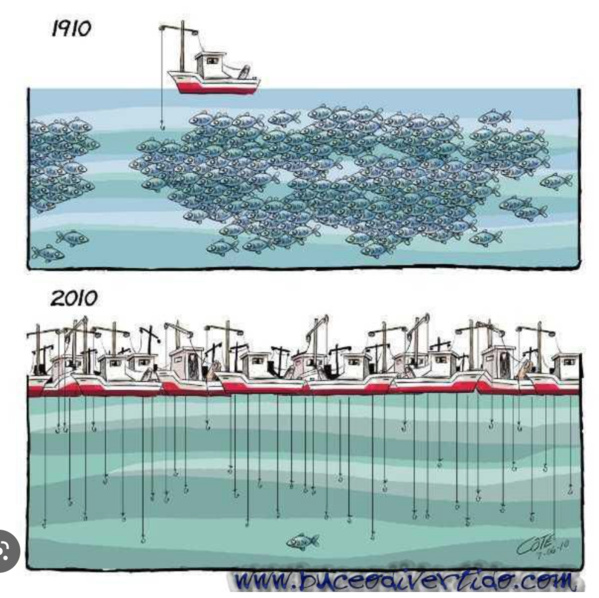 Le ministre des Pêches et de l’Economie maritime s’entretient avec le commissaire européen chargé de la pêche