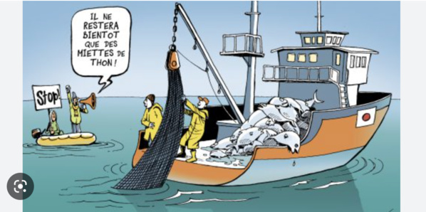 L’union européenne évoque des difficultés pour ses opérateurs dans le domaine de la pêche en Mauritanie