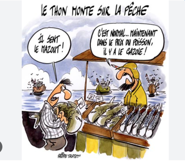 Le ministre des Pêches et de l’Economie maritime et son homologue sénégalais visitent le port de Tanit Le ministre des Pêches et de l’Economie maritime et son homologue sénégalais visitent le port de Tanit