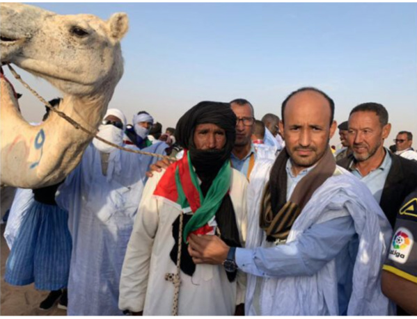 La ville de Chami accueille la deuxième édition de la course de chameaux