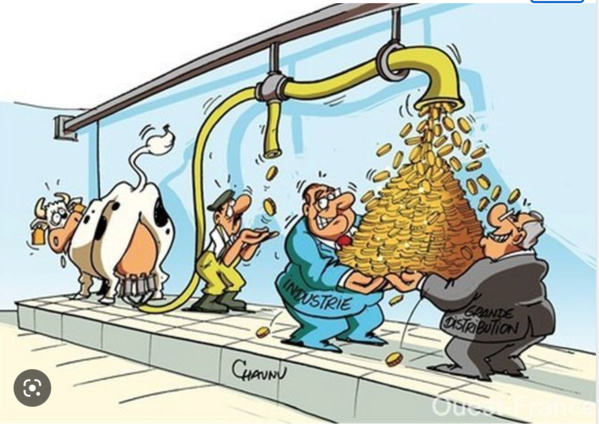 Réunion autour de la question de l’augmentation de la production laitière en Mauritanie Réunion autour de la question de l’augmentation de la production laitière en Mauritanie