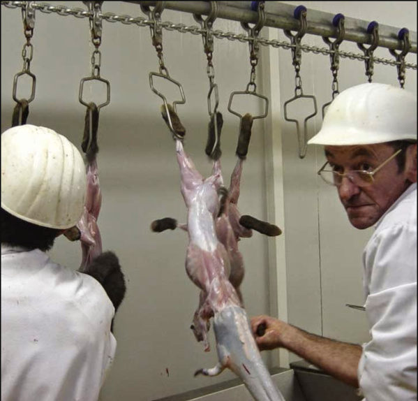 Financial Afrik : La Mauritanie compte vendre des parts de la Somagaz Financial Afrik : La Mauritanie compte vendre des parts de la Somagaz