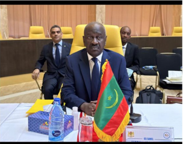 Le ministre des Affaires étrangères participe à la réunion extraordinaire des ministres des affaires étrangères du G5 Sahel