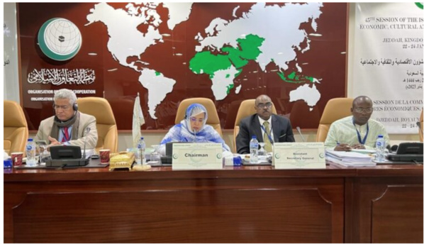 CI : Sous la présidence de la Mauritanie, la réunion des délégués permanents adopte d’importants projets de résolutions