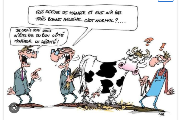 La Mauritanie préside une réunion de haut niveau à Dakar sur le soutien à l’autosuffisance La Mauritanie préside une réunion de haut niveau à Dakar sur le soutien à l’autosuffisance