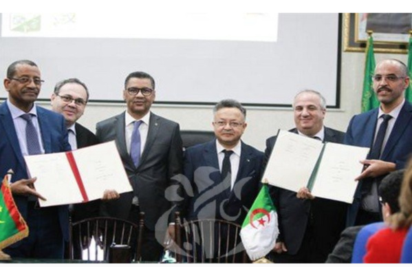 Enseignement supérieur: dix accords de jumelage entre l'Algérie et la Mauritanie