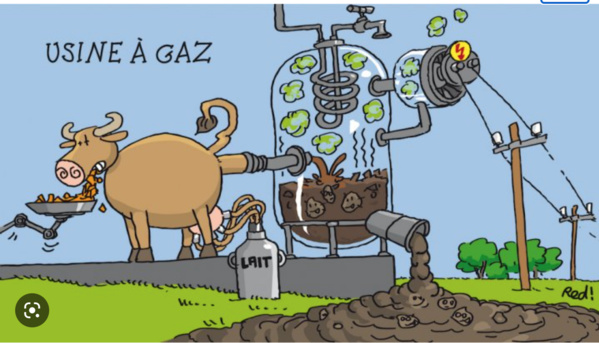 Gaz mauritano-sénégalais : les derniers réglages avant la production