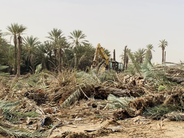 Affaire des Palmiers de la Socogim PS Affaire des Palmiers de la Socogim PS