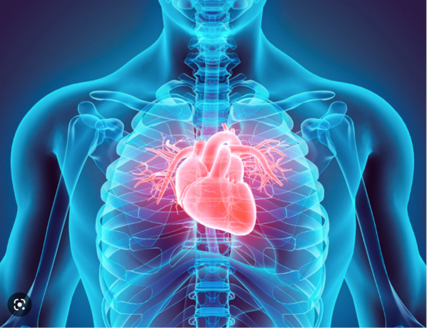 Le Ministre de la Santé supervise l’inauguration de la « Maison de la Santé et du Bien-être » au Centre National de Cardiologie Le Ministre de la Santé supervise l’inauguration de la « Maison de la Santé et du Bien-être » au Centre National de Cardiologie