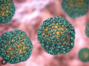 Le ministre de la Santé affirme qu’il n’y a aucun cas de fièvre hémorragique en Mauritanie Le ministre de la Santé affirme qu’il n’y a aucun cas de fièvre hémorragique en Mauritanie