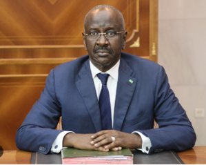 Ministre des Affaires étrangères: Nous avons pris des mesures pour résoudre la crise des citoyens bloqués au Mexique