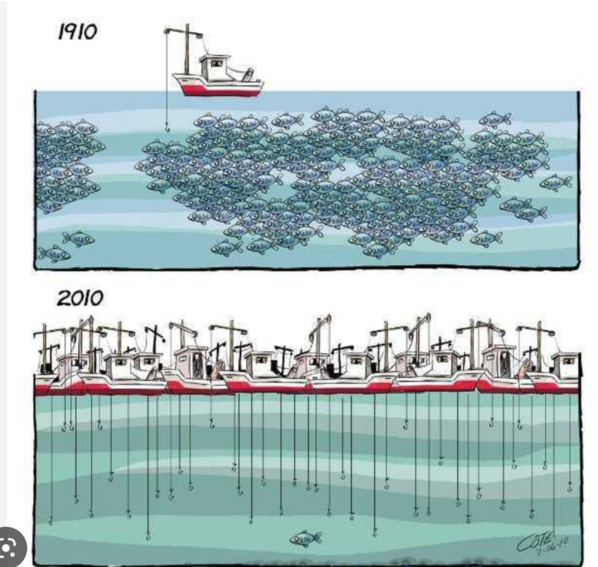 La Mauritanie et le Liberia signent un protocole d’accord relatif à la pêche illégale