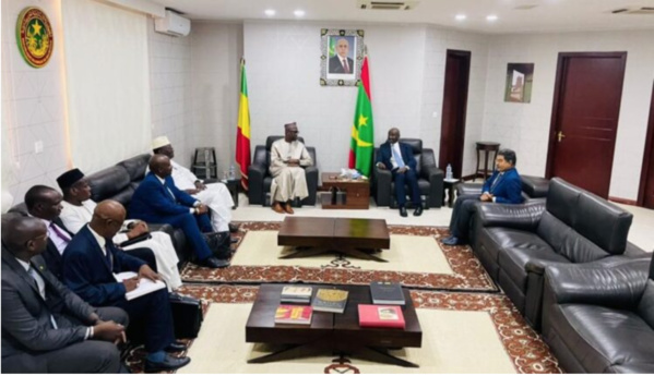 Le ministre des Affaires étrangères reçoit son homologue malien