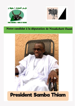 Législatives 2023 : Samba Thiam pressenti pour Nouakchott Ouest