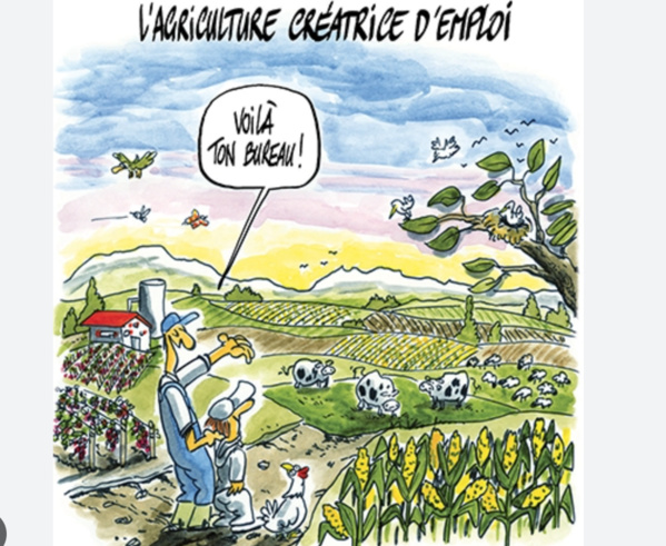 Gorgol : plus de 213 millions d’ouguiyas pour le financement de 147 projets