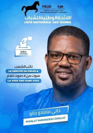 Législatives 2023: Entretien avec le candidat Khally Diallo Législatives 2023: Entretien avec le candidat Khally Diallo