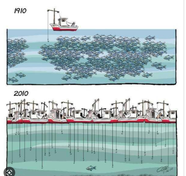 L’Union Européenne s’apprête à élargir l’accord de pêche avec la Mauritanie L’Union Européenne s’apprête à élargir l’accord de pêche avec la Mauritanie