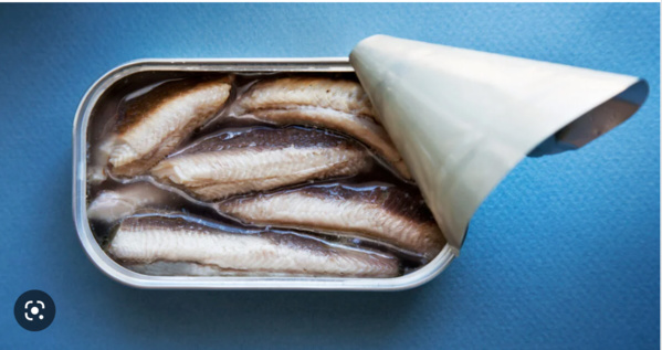 Néma : Lancement de la composante « distribution de poisson » au profit des groupes vulnérables dans le cadre des opérations du Ramadan