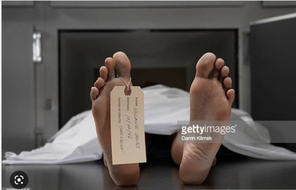 Décès de quatre prospecteurs dans la zone “Gravia” dans le Tiris Zemmour Décès de quatre prospecteurs dans la zone “Gravia” dans le Tiris Zemmour