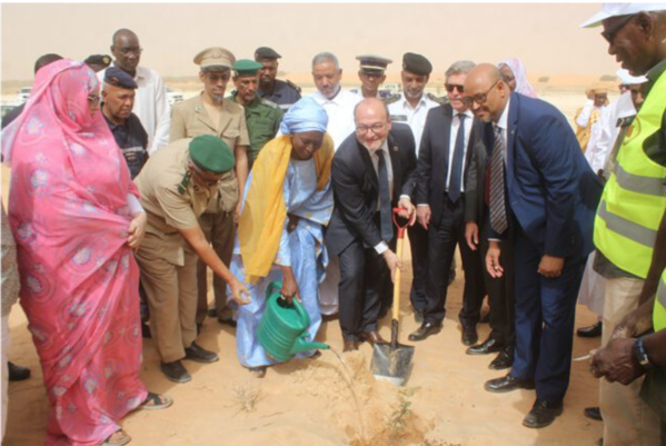 La ministre de l’environnement et le directeur de l’AFD visitent le secteur IV de la ceinture verte de Nouakchott