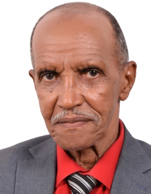Affaire Ould Abdel Aziz : quand l’avocate Sandrella  « dédouane » Ould Ghazouani de tous soupçons