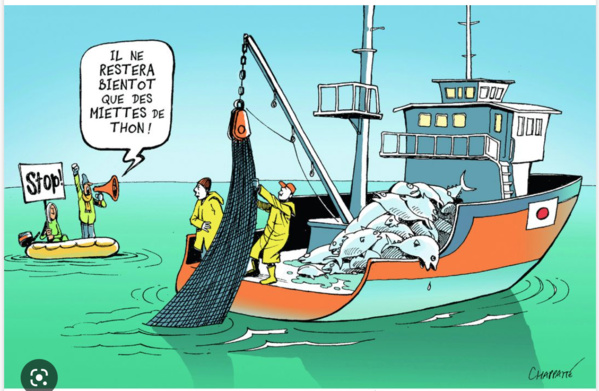 Le porte-parole du gouvernement : « les propos de l’armateur turc ne nous concernent en rien » Le porte-parole du gouvernement : « les propos de l’armateur turc ne nous concernent en rien »