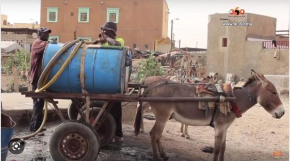 Une décision du président de la république : les prix à la consommation de l’eau seront uniformisés dès le mois prochain Une décision du président de la république : les prix à la consommation de l’eau seront uniformisés dès le mois prochain