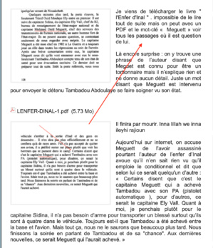 Affaire Meguett suite et fin : pour G.H et l’ambassade britannique à Nouakchott, ma réponse au flamiste Dr Pullo Gaynaako 