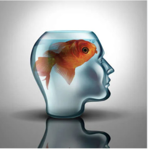 Echouage de poissons à Nouadhibou : le ministère des Pêche envoie une délégation faire le point Echouage de poissons à Nouadhibou : le ministère des Pêche envoie une délégation faire le point