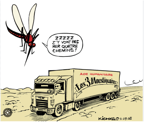 OMS : la Mauritanie est en bonne voie pour réduire la propagation du paludisme