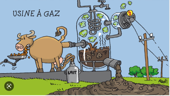 2023, l’année du gaz en Mauritanie et au Sénégal