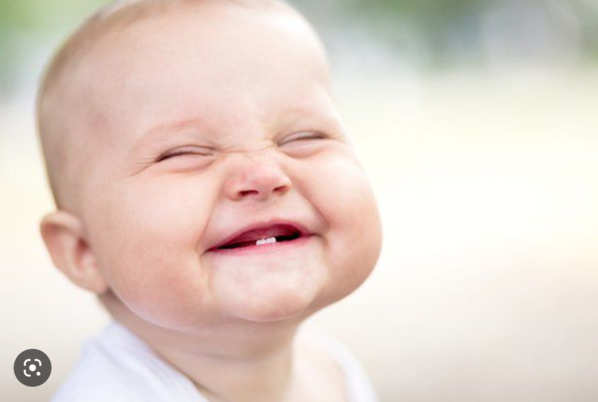 Campagne électorale : les imprimeurs retrouvent le sourire Campagne électorale : les imprimeurs retrouvent le sourire