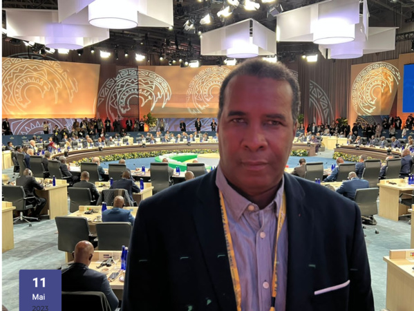 Le Procès de la décennie : Un manque de conviction face à des preuves indéniables Le Procès de la décennie : Un manque de conviction face à des preuves indéniables