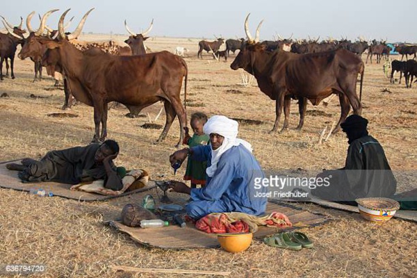 Formation d’opérateurs de la filière commercialisation du bétail dans le Sahel