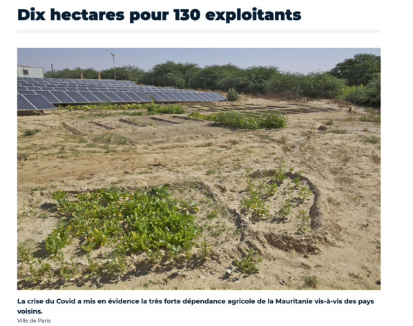 La Mauritanie innove pour sa production agricole avec l'aide de Paris La Mauritanie innove pour sa production agricole avec l'aide de Paris