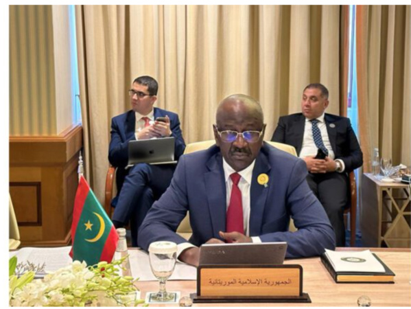 Le ministre des Affaires étrangères à la réunion du comité ministériel arabe d’appui à la Palestine Le ministre des Affaires étrangères à la réunion du comité ministériel arabe d’appui à la Palestine