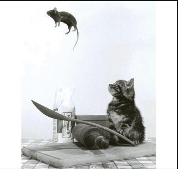 CENI : 35 sièges parlementaires déjà pourvus et un deuxième tour prévu pour 18 circonscriptions CENI : 35 sièges parlementaires déjà pourvus et un deuxième tour prévu pour 18 circonscriptions