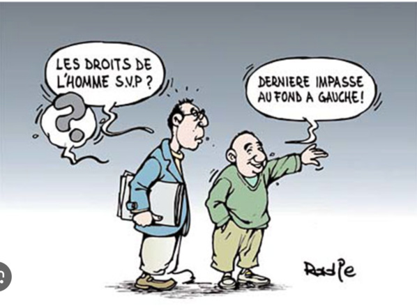 Le Commissaire aux droits de l’homme reçoit la déléguée française aux relations avec la société