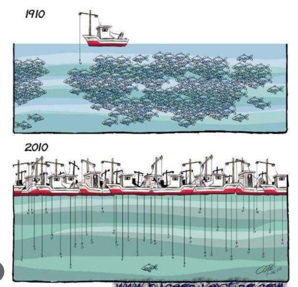 Le ministre des pêches reçoit l’ambassadeur d’Égypte Le ministre des pêches reçoit l’ambassadeur d’Égypte