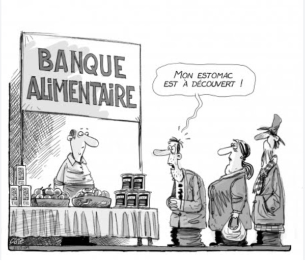 La Commissaire à la sécurité alimentaire s’entretient avec le Représentant résident du CICR