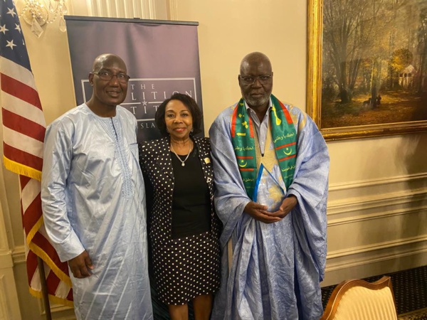 Elkory Sneiba primé Elkory Sneiba primé