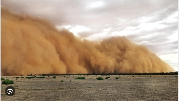 Tempête de sable au Guidimakha : 13 blessés Tempête de sable au Guidimakha : 13 blessés