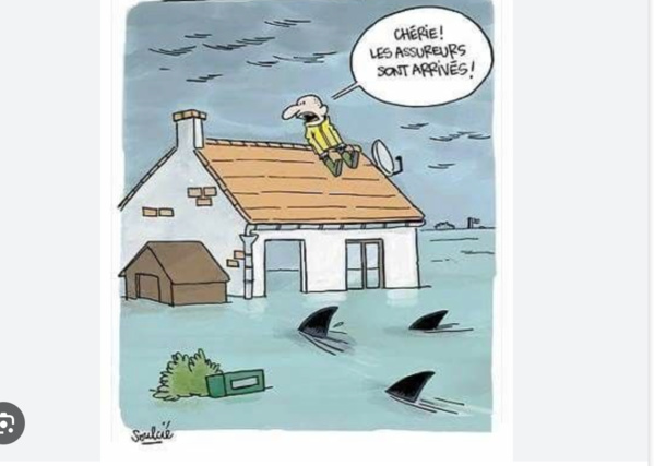 Eaux de pluie stagnantes : Le gouvernement sur le pied de guerre Eaux de pluie stagnantes : Le gouvernement sur le pied de guerre