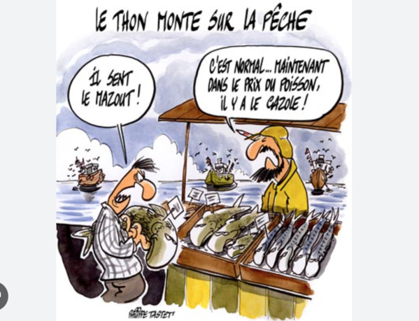 Le ministre de la Pêche invite les acteurs nationaux à contribuer aux efforts de la Société Nationale de Distribution du Poisson Le ministre de la Pêche invite les acteurs nationaux à contribuer aux efforts de la Société Nationale de Distribution du Poisson